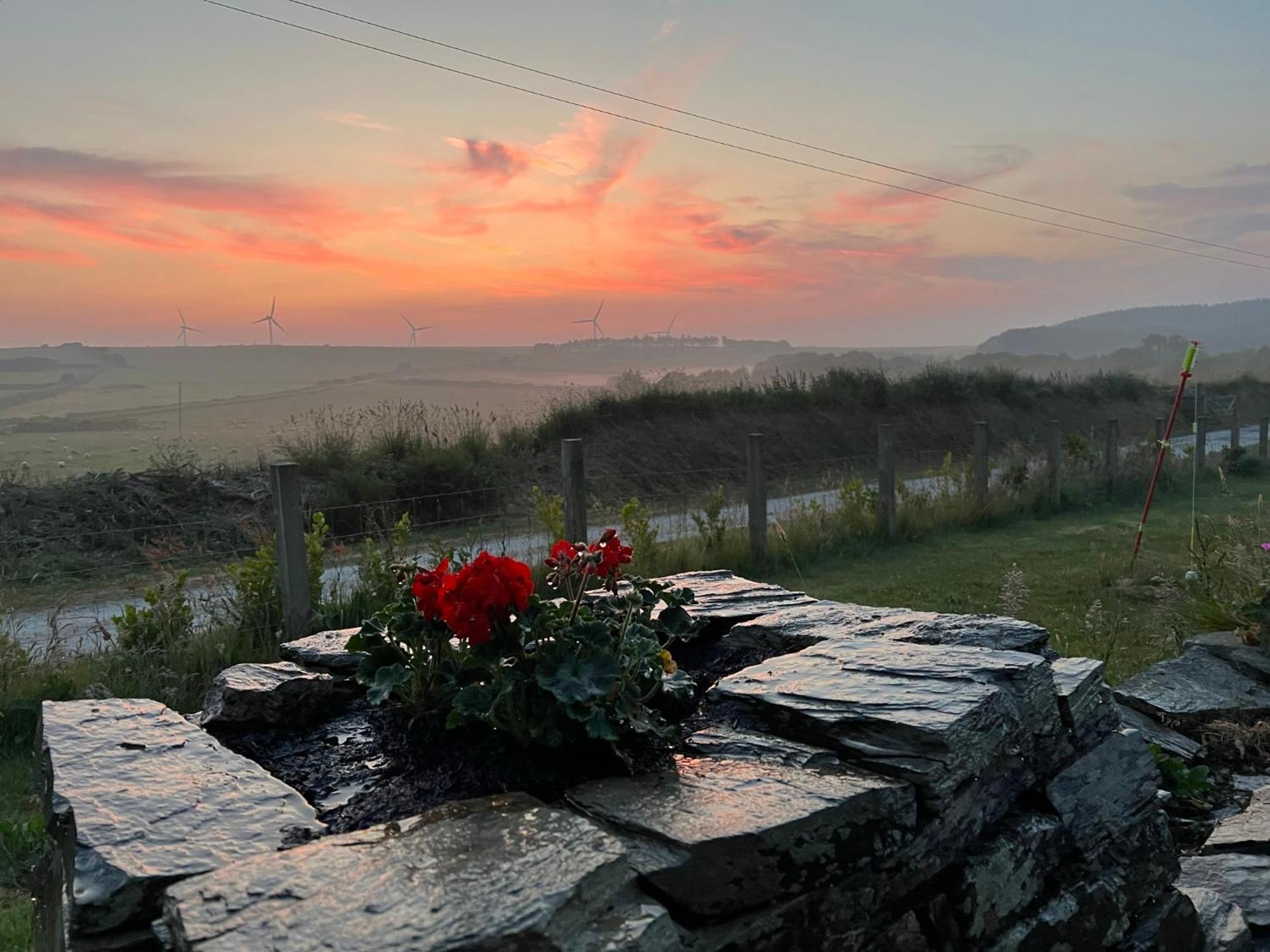 Toms Hut And Robins Rest Shepherd Huts Near Wadebridge Exterior foto