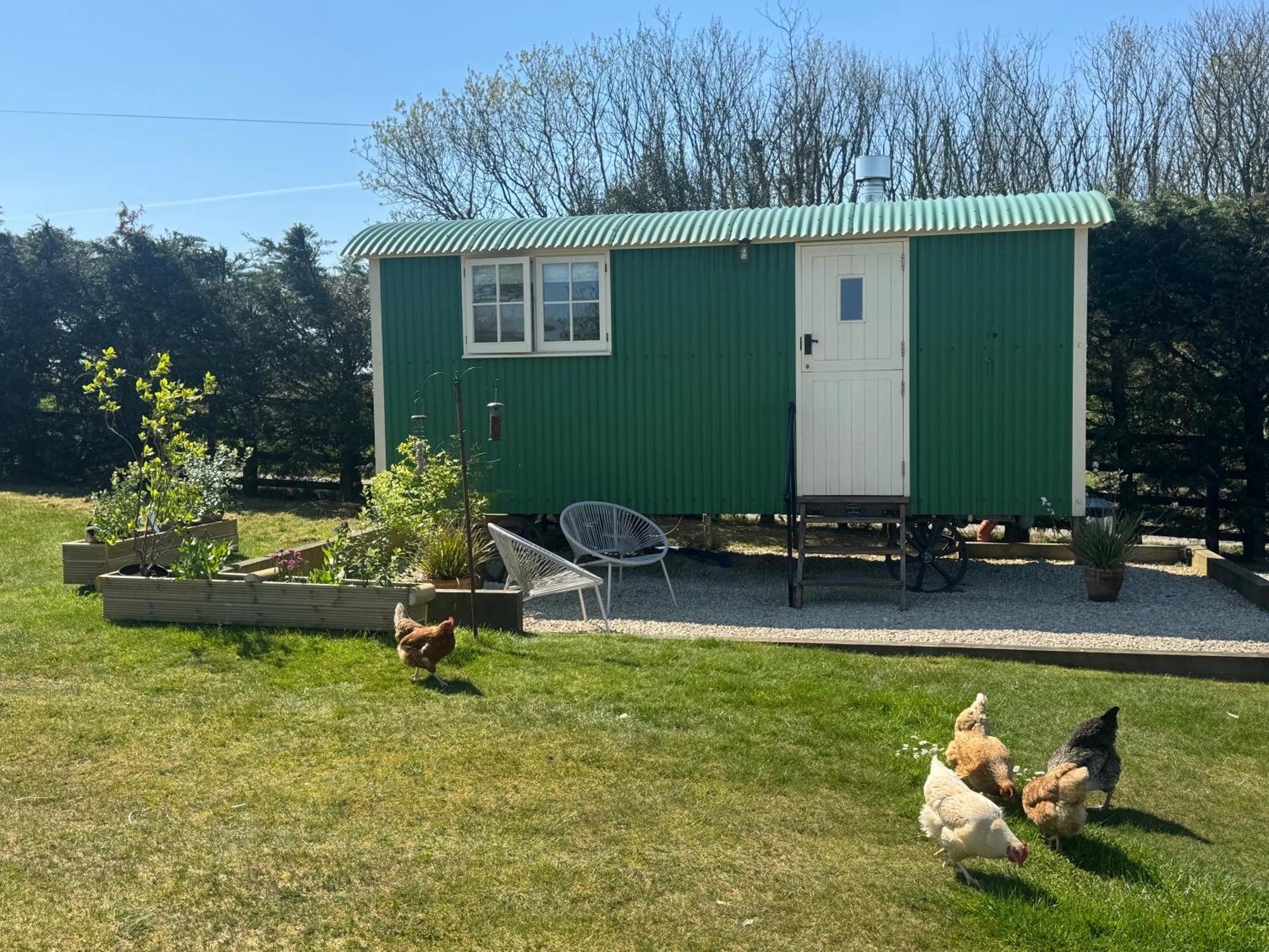 Toms Hut And Robins Rest Shepherd Huts Near Wadebridge Exterior foto
